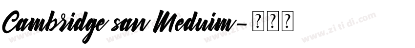 Cambridge san Meduim字体转换